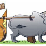 Sebi-top-post-up-for-grabs