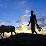 digitising-farm-market