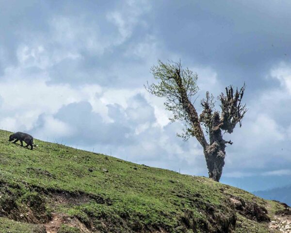 01-Ritayan-04-RM-‘The happy days are now just nostalgia’