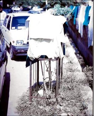 A tree guard repurposed as a clothes-drying rack. The sapling inside, surrounded by weeds and waste, has been left entirely to fend for itself. The guard outlasts the tree it was meant to protect.